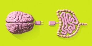 imagem ilustrativa cerebro e intestino