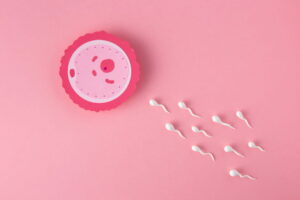 ilustração médica de óvulos e fertilidade feminina