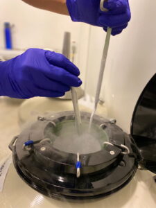 laboratório de medicina reprodutiva