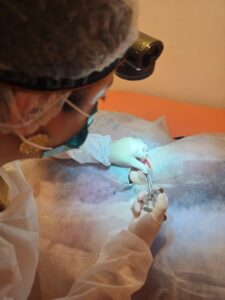atendimento odontológico