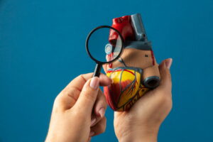 saúde cardiovascular