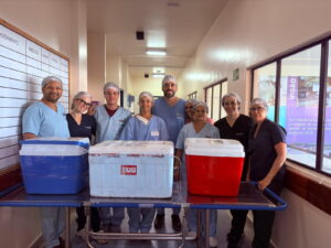 profissionais do hospital