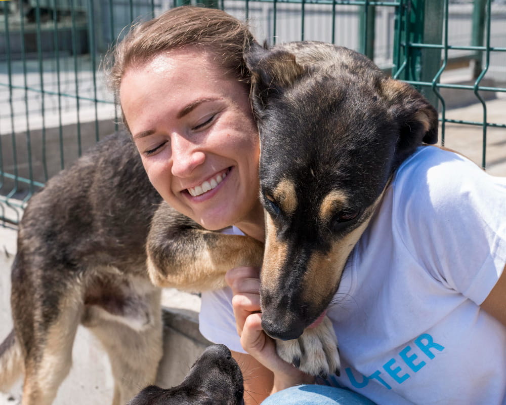Mulher sorridente brincando com um cachorro para adoção