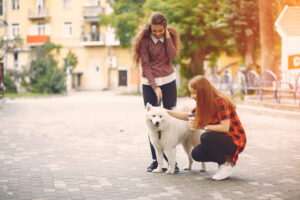 tutor com cachorro passeando
