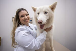 Veterinária Beatriz Ferlin