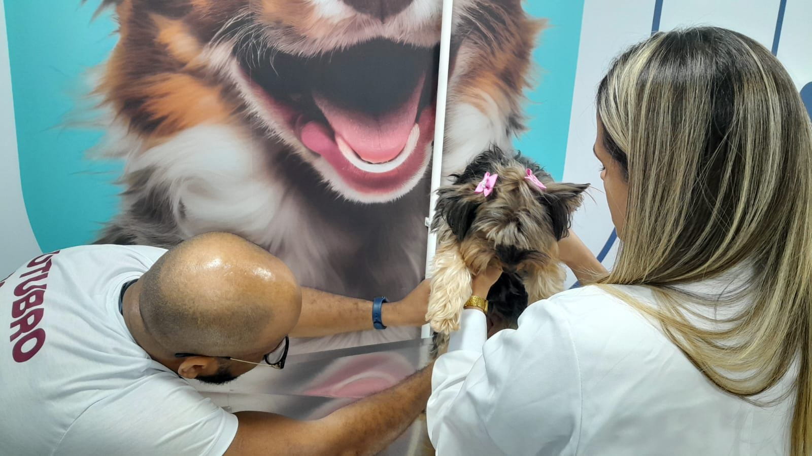 OUTUBRO ROSA PET